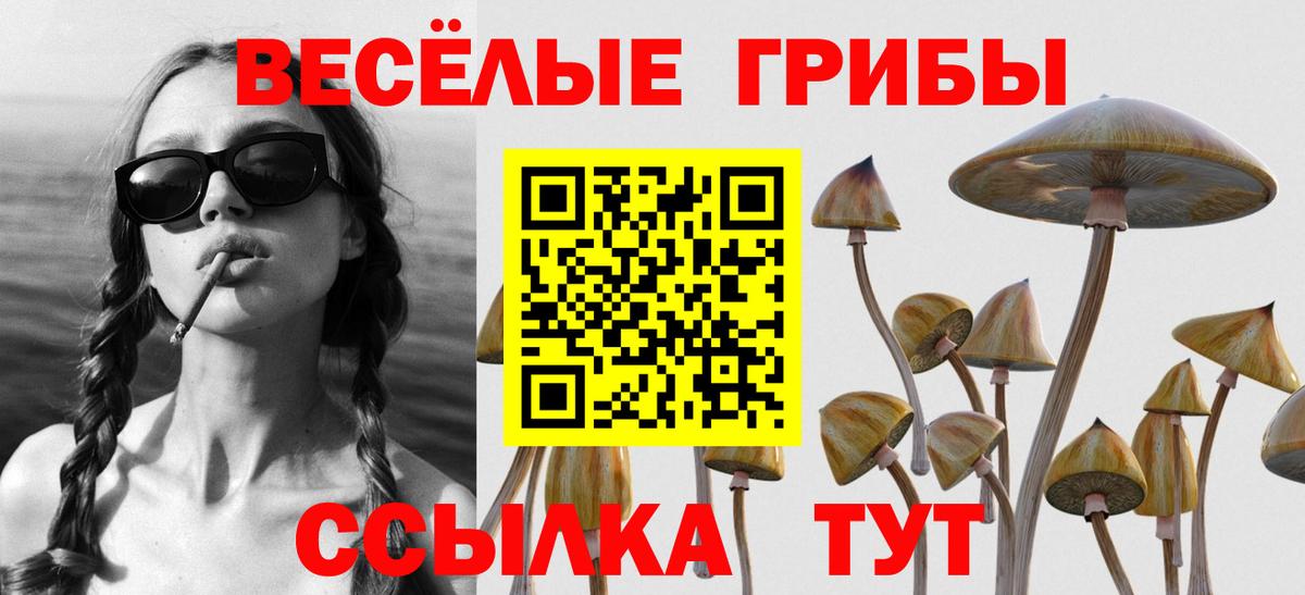 Псилоцибиновые грибы Psilocybine cubensis Губкинский