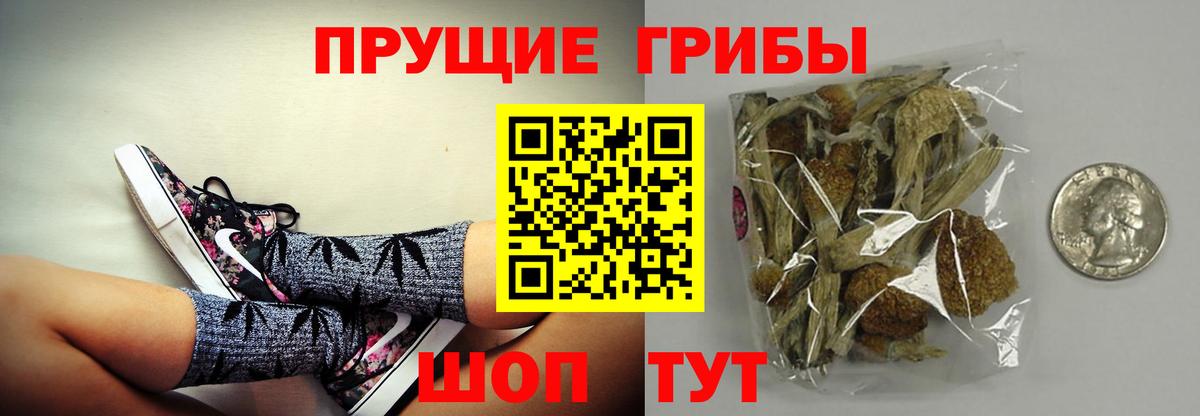 Галлюциногенные грибы Magic Shrooms  Вход с VPN  Губкинский 